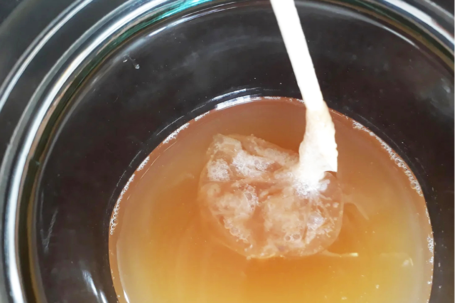 fermenteur de kombucha 1