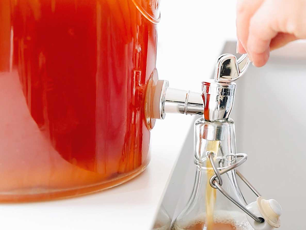 fermenteur de kombucha 2