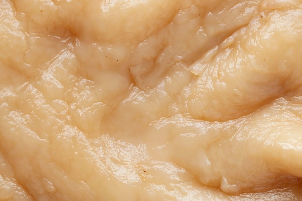 scoby