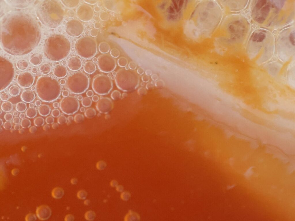 kombucha content